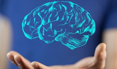 O Poder da Mente nos Negócios