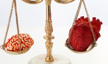 PAIXÃO X RAZÃO - O PODER DA MENTE NO MUNDO DOS NEGÓCIOS.