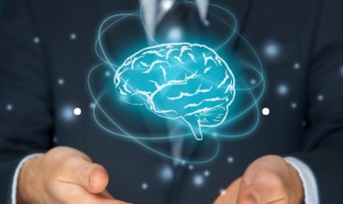 INTELIGÊNCIA EMOCIONAL - FAÇA O QUE TEM QUE SER FEITO!